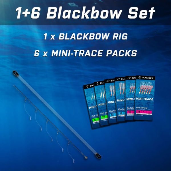 1+6 Blackbow Set