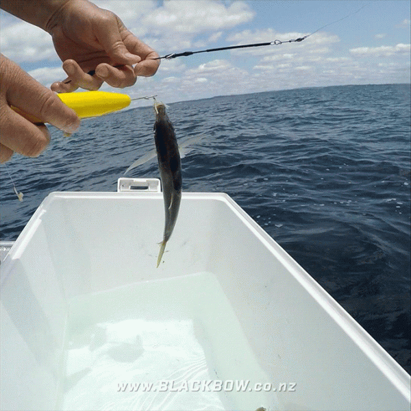 Blackbow Dehooker - Image 2