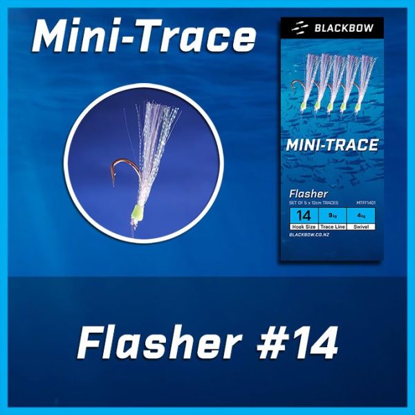 Mini-Trace Pick 6 - Image 3